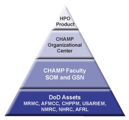 CHAMP Organizational Structure